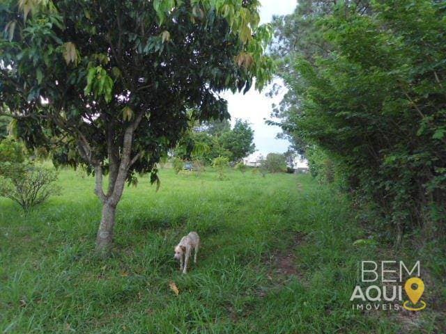 Área à venda, 10700 m² por R$ 2.500.000,00 - Pinheirinho - Itu/SP foto 2