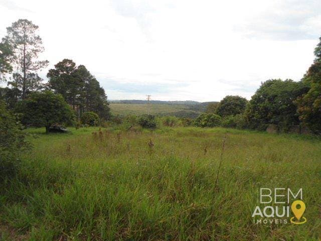 Área à venda, 10700 m² por R$ 2.500.000,00 - Pinheirinho - Itu/SP foto 1