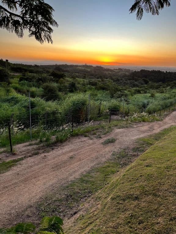 Área á venda de 20.000m²! foto 7