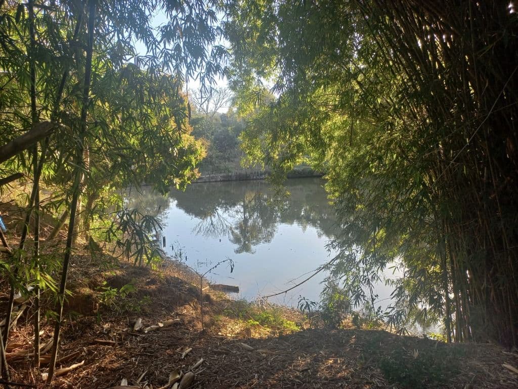 Sítio à venda Pinheirinho, Itu/SP. foto 1